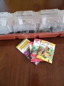 Seed packets and an indoor mini-greenhouse "starter kit."