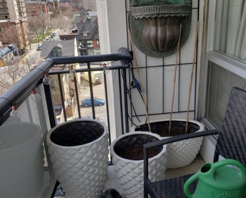 Balcony planter tubs ready plant.