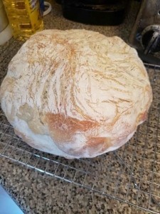 Rustic french bread baked in a dutch oven.